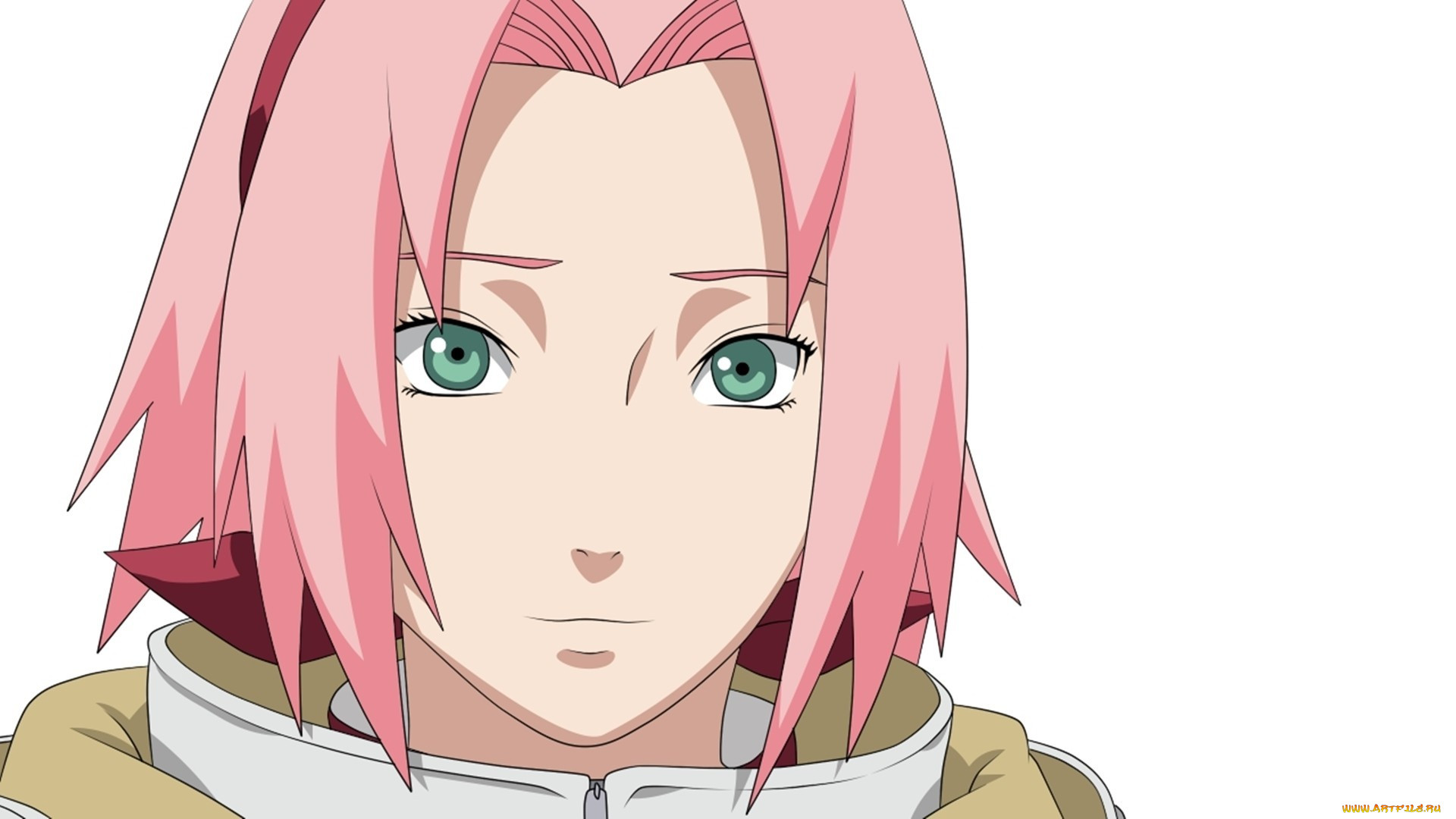 , naruto, shippuden, haruno, sakura